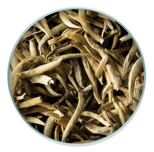Silver Needle - Wholesale